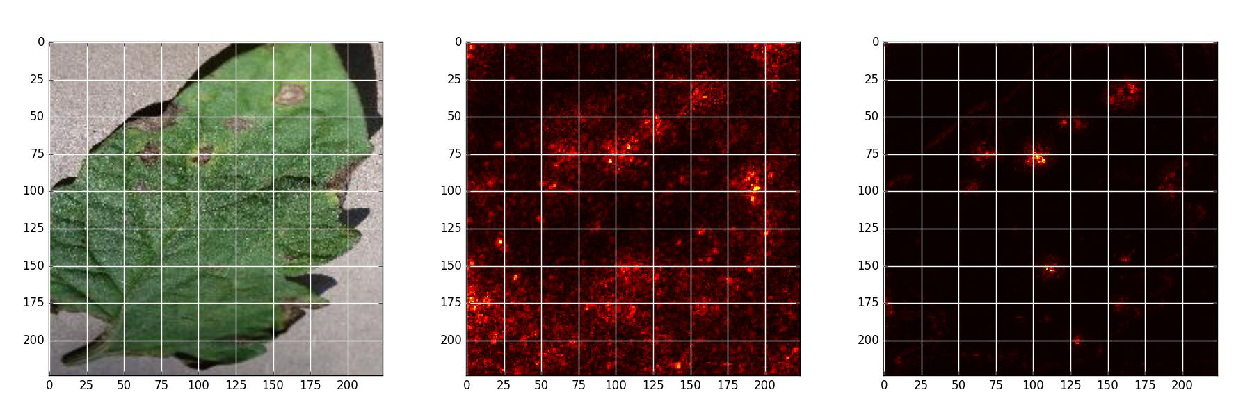 Plant Disease Detection App Github - Glynda Childs